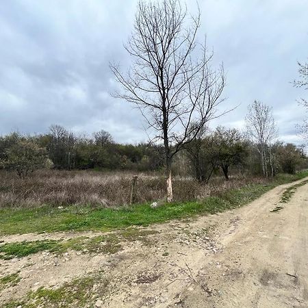 Къмпинг Частен Двор Bulgarian Campsite For Tents Kazanlŭk 외부 사진