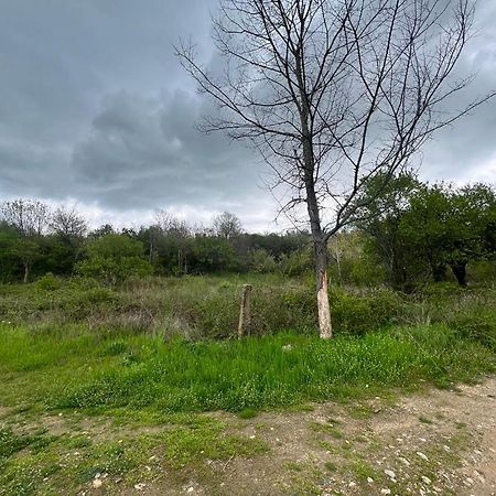 Къмпинг Частен Двор Bulgarian Campsite For Tents Kazanlŭk 외부 사진